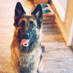 Meet your Posher, Allison